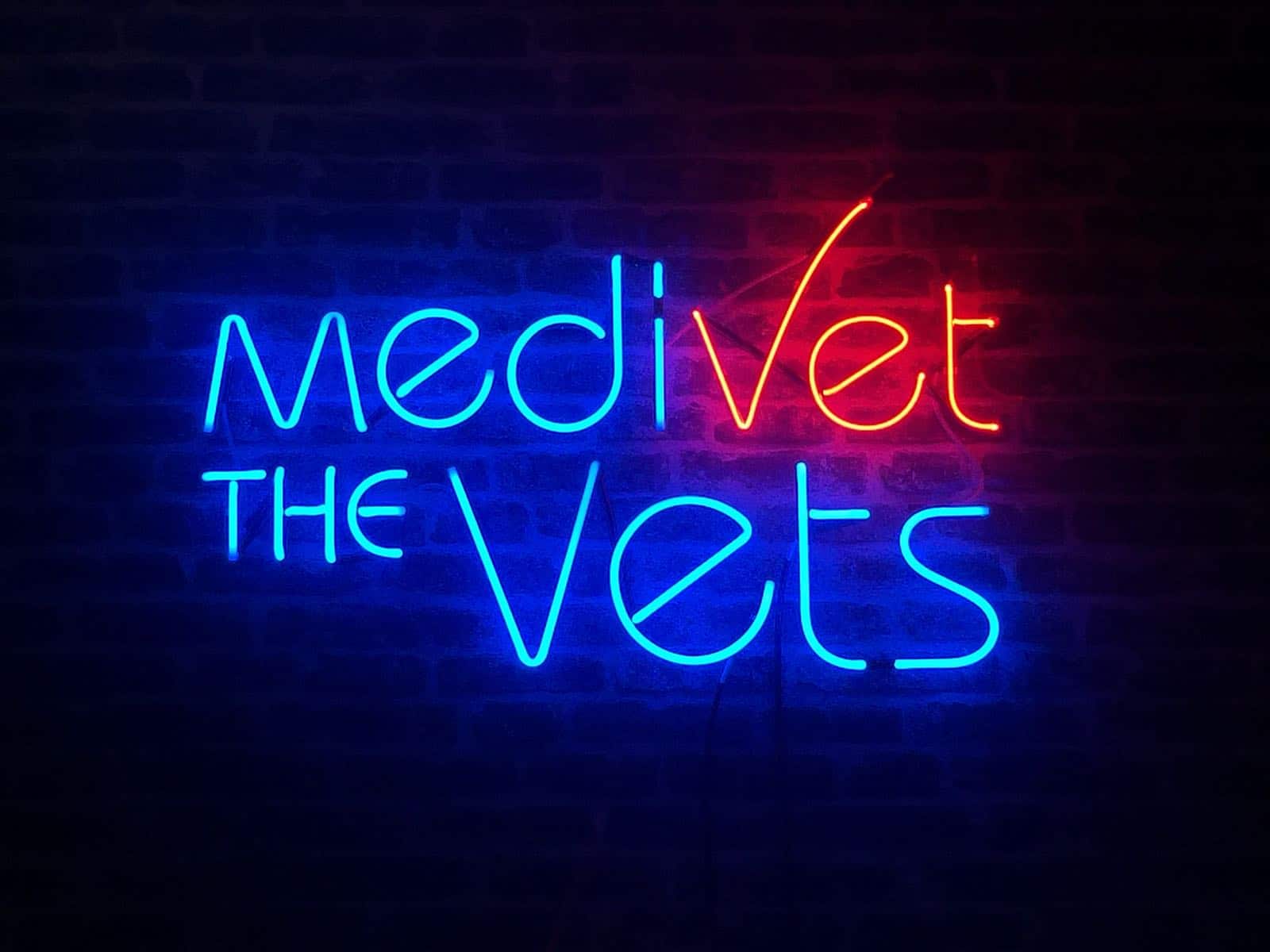 Custom Neon Signs - Medi Vets