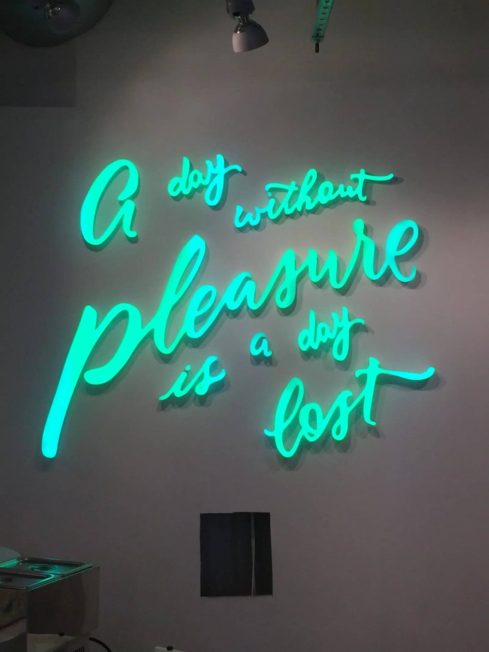 A Day Without Pleasure LED Neon Sign