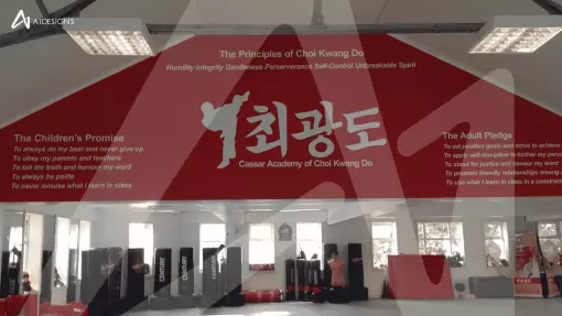 Choi Kwang Do - Vinyl graphics