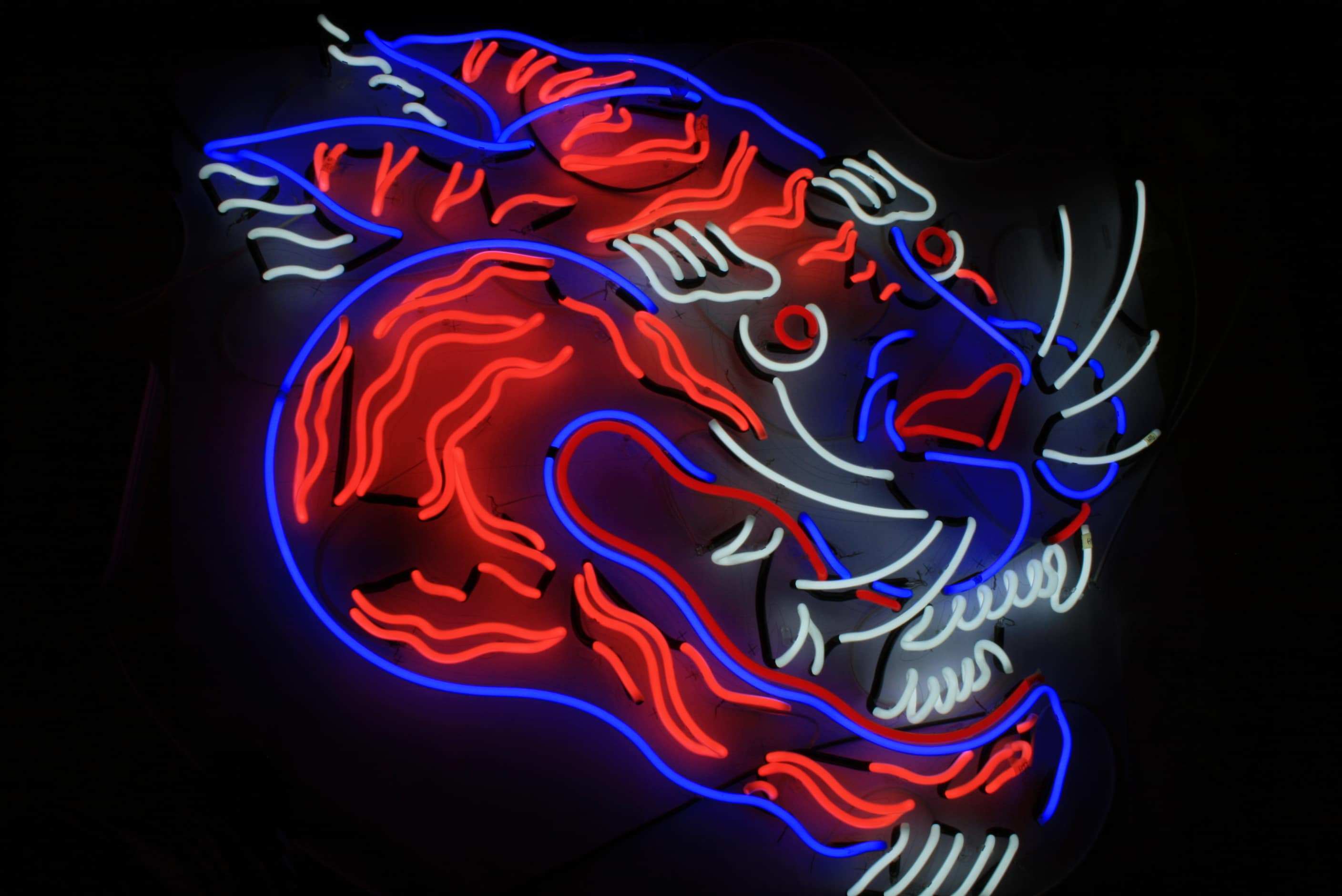 Neon Art - Big Cat