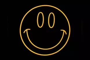 Smiley LED Flex Neon Sign