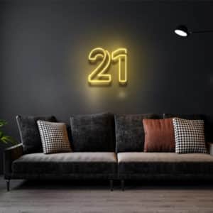 21 - Led Flex Neon Sign